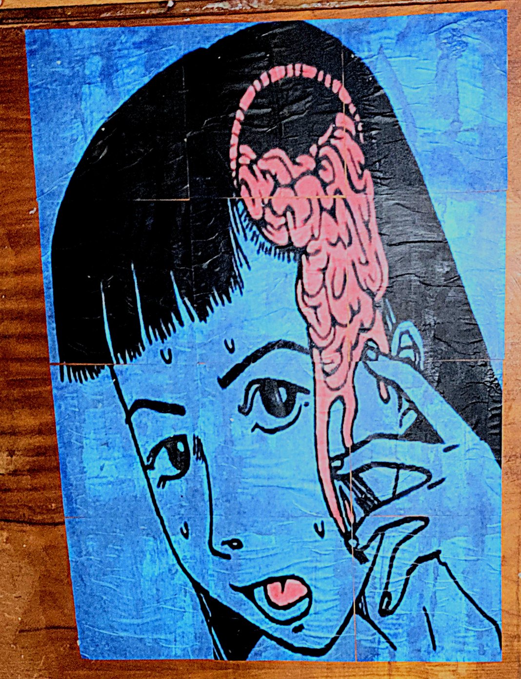 Slideshow image 3