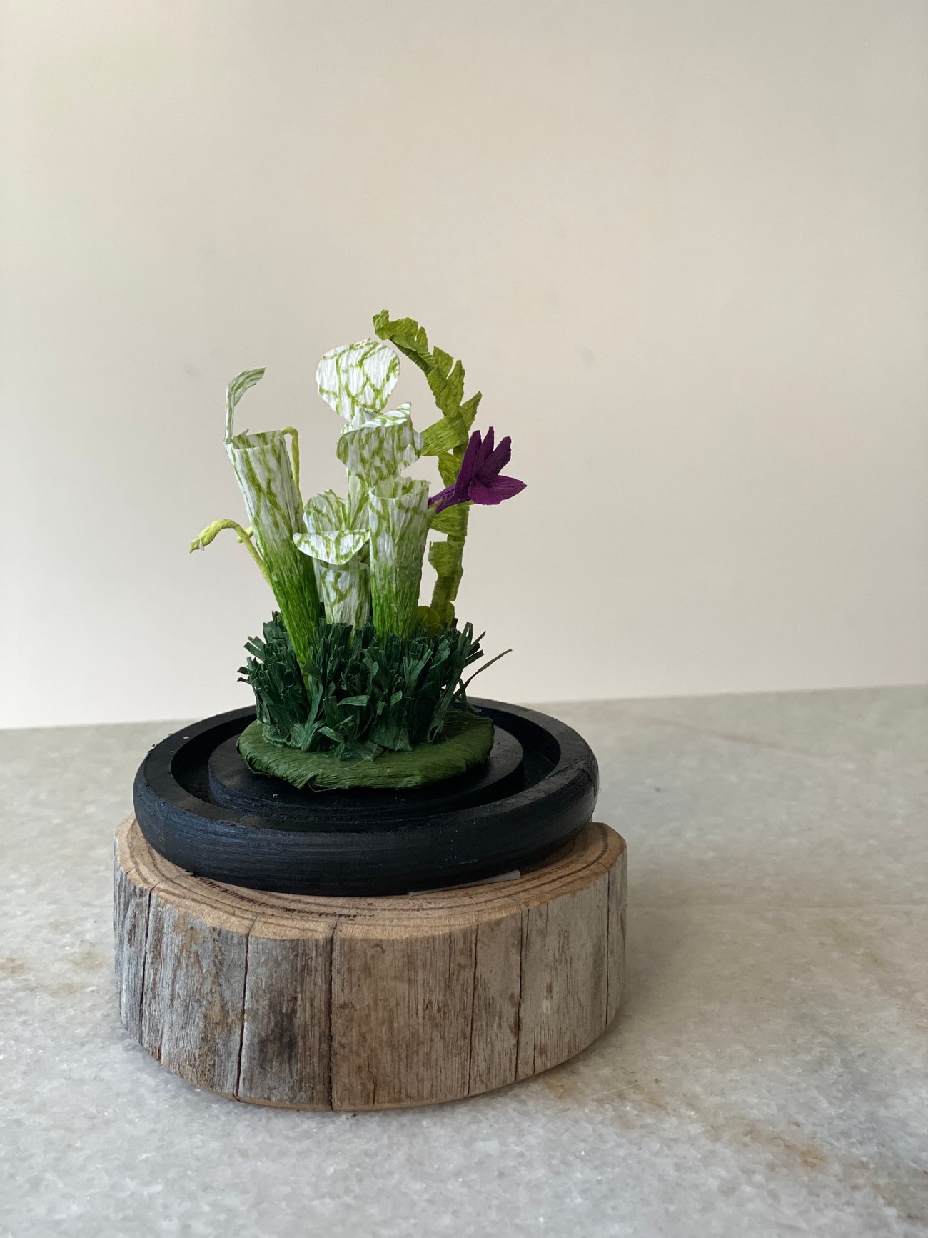 Slideshow image 3