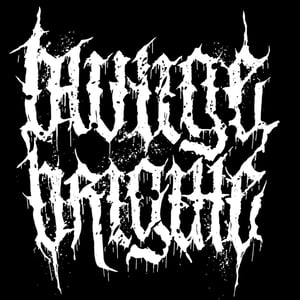 Blutige Brigitte Records Home