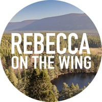 Rebecca On The Wing