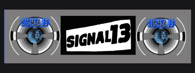 Signal 13 Pins