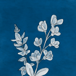 Blue & Violet: an Indigo Zine