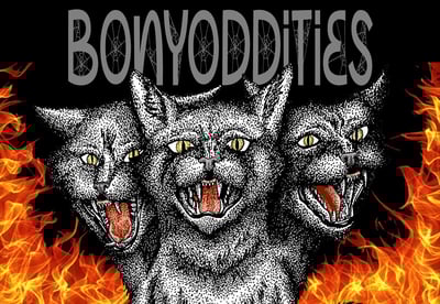 BonyOddities