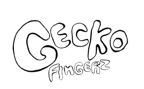 Gecko Fingerz Home