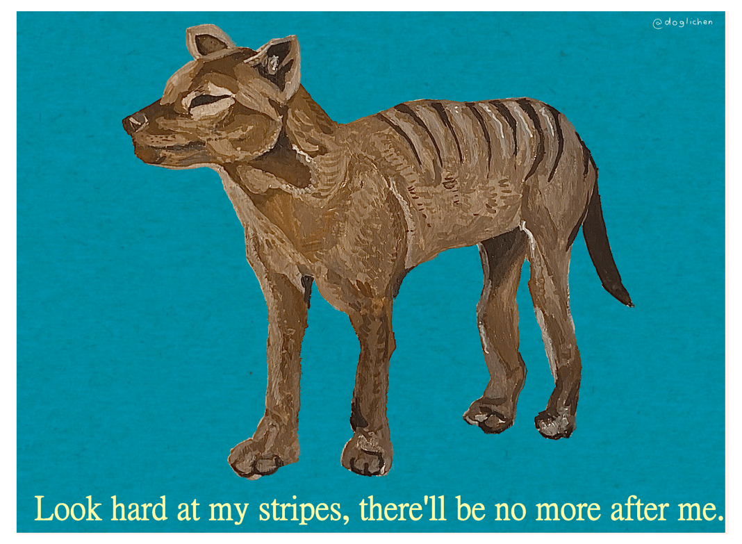 Slideshow image 5