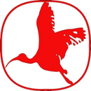 Scarlet Ibis Designs Home