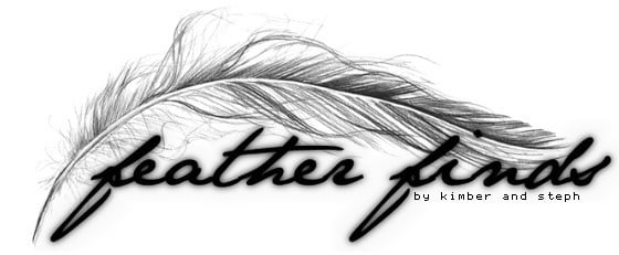 feather finds — Grey String Feather