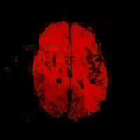 Promo image