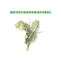 Botechevenatirel  Home