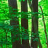 Welcome to Magik 3 Trees