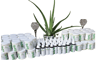 Welcome to Tigi's organic all natural