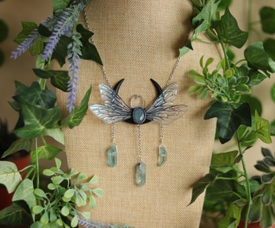 Slideshow image 3
