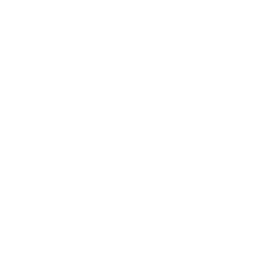 FLYING SQUIRREL BRUSH CO.