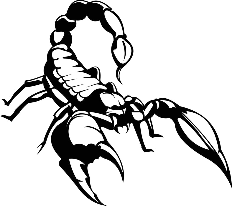 Welcome to SOLEcollector214