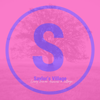 Saylor's Village Home