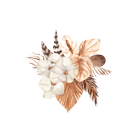 Little Lily Photography Home