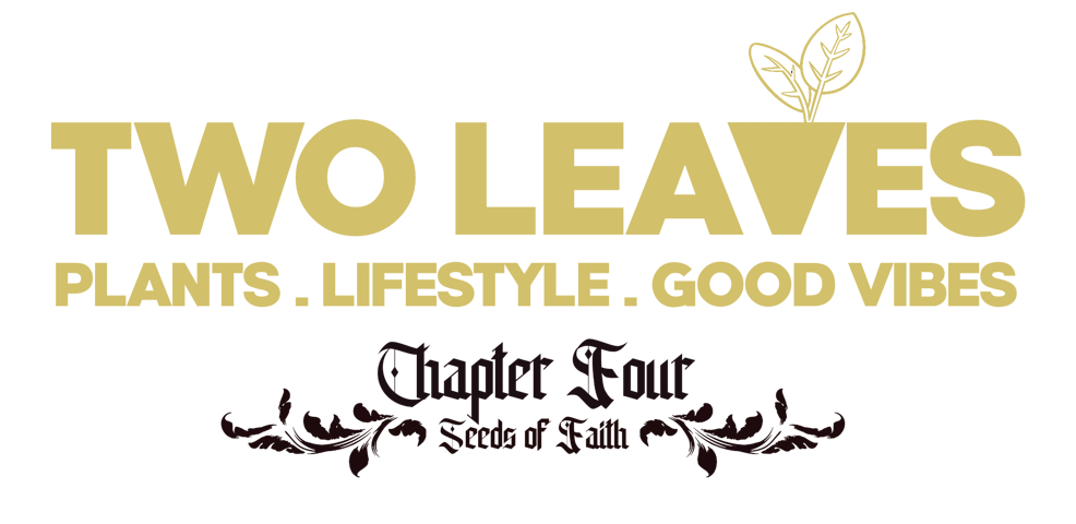 TWO LEAVES
