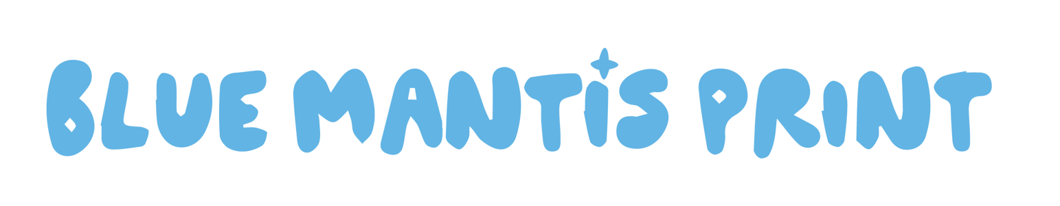 Blue Mantis Print Home