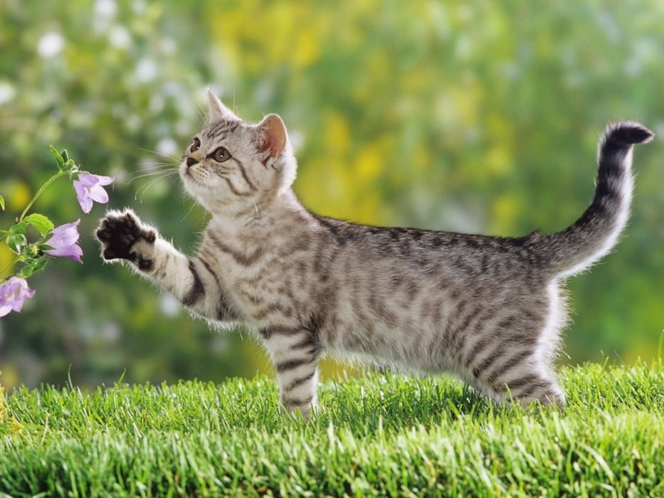 Welcome to La Prados 