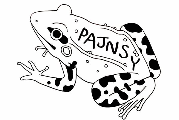 pajnsy Home