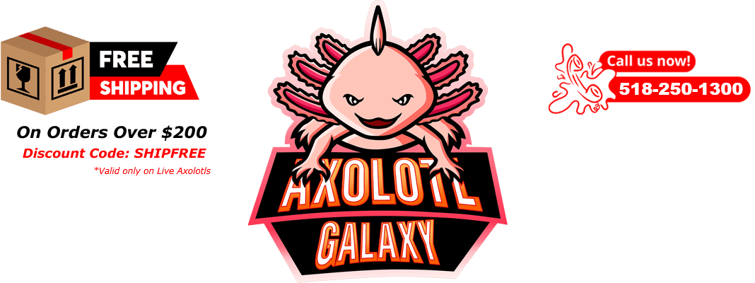 Axolotl Galaxy Home