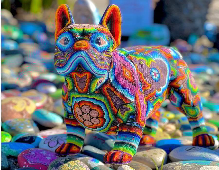 Slideshow image 5