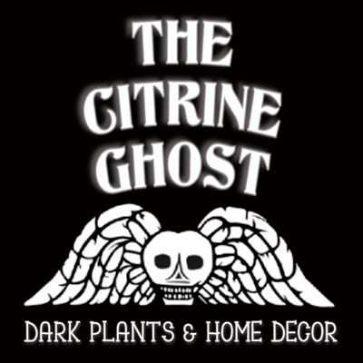 The Citrine Ghost Home