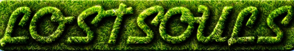 Welcome to Lostsoulbrand