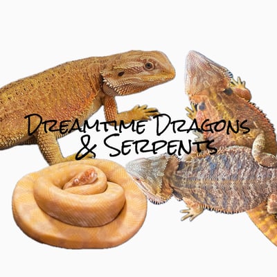 dreamtimedragonsandserpents Home