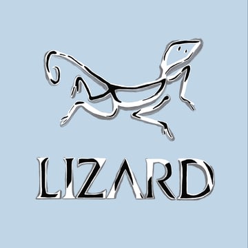 Lizard Stuff Home