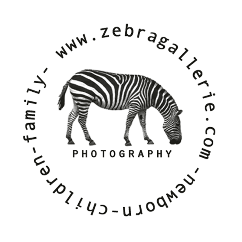 Zebra Gallerie