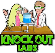 Knock Out Labs Festival Home