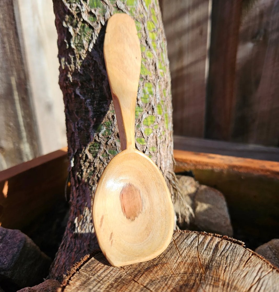 Slideshow image 1