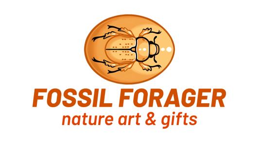 fossilforager Home