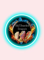 K&Z Bearded Dragons Home