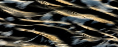 Slideshow image 1