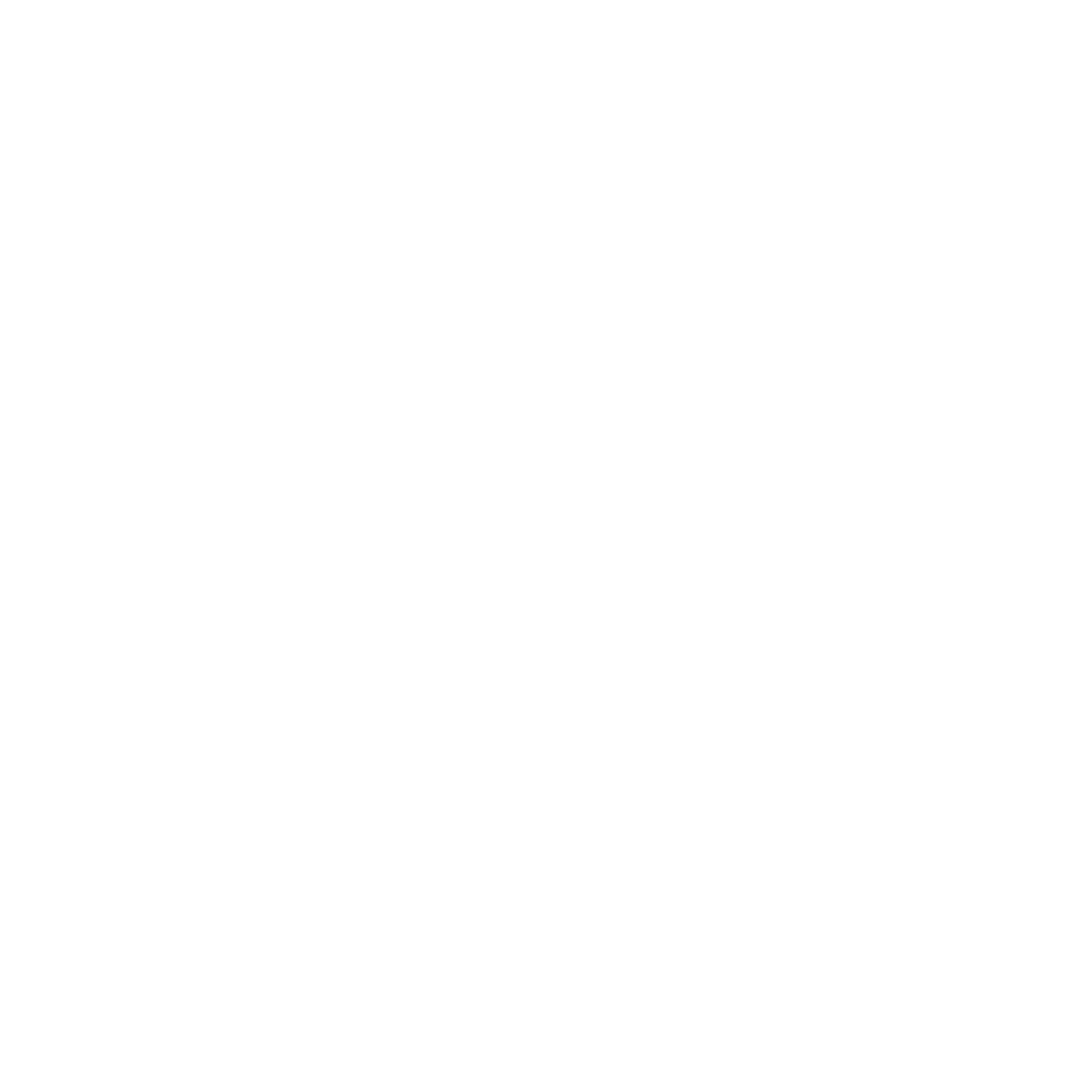 STUNNERS AND STONERS LLC.  Home