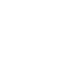 STUNNERS AND STONERS LLC.  Home