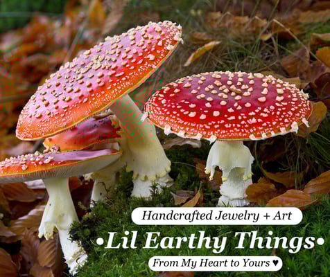 Lil Earthy Things Home