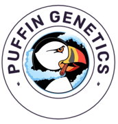 Puffin Genetics Home