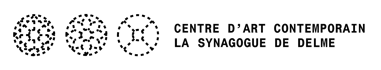Centre d'art contemporain - la synagogue de Delme Home