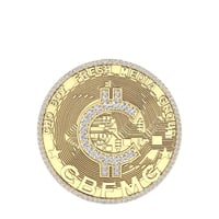 PAYOLA 313 Home