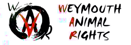 Weymouth Animal Rights Shop Home