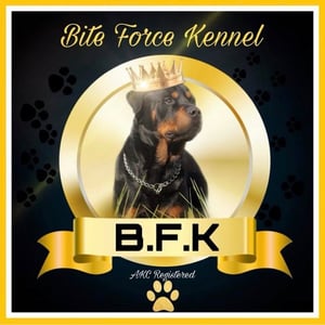 Bite Force Kennels  Home