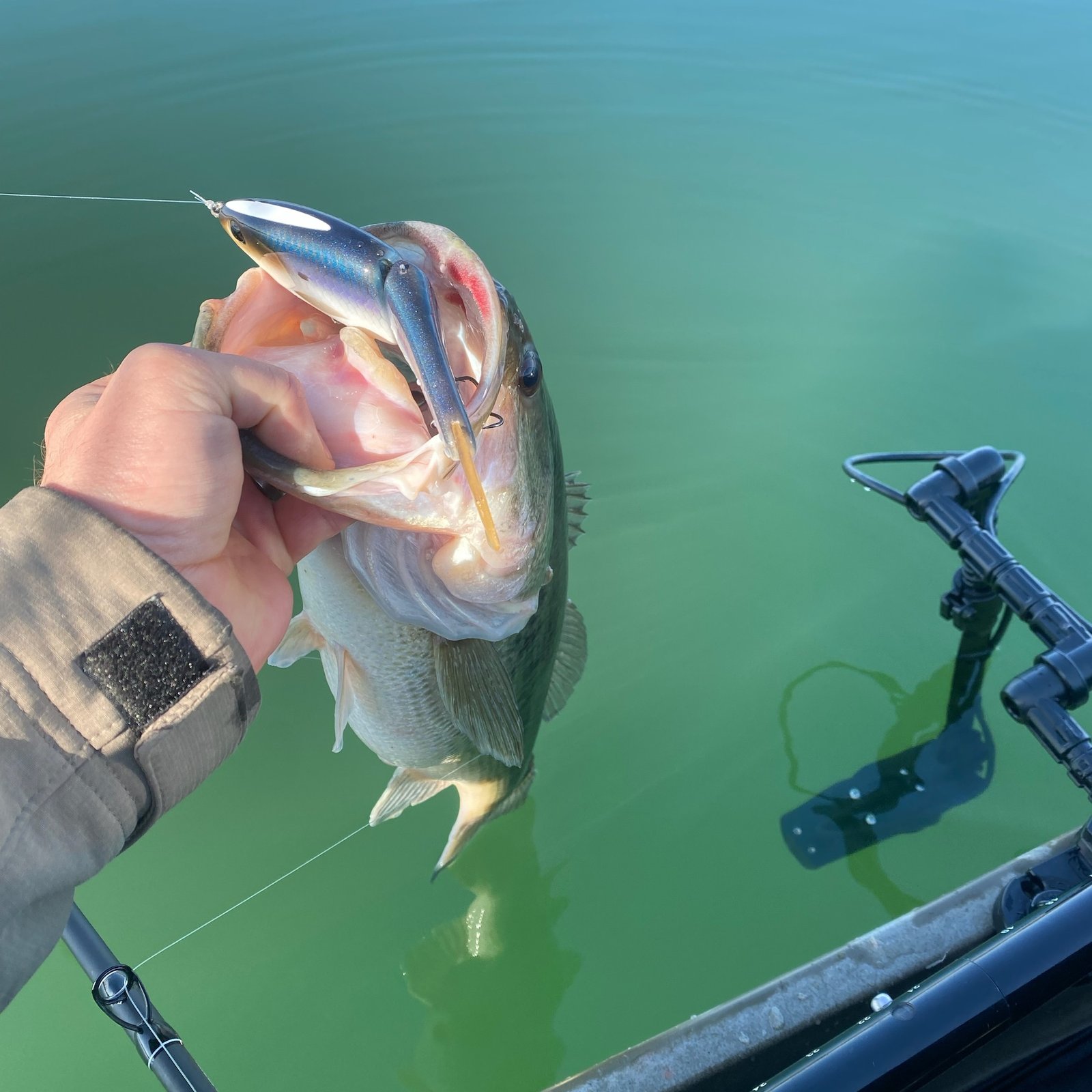 Home | Oxbow Swimbaits