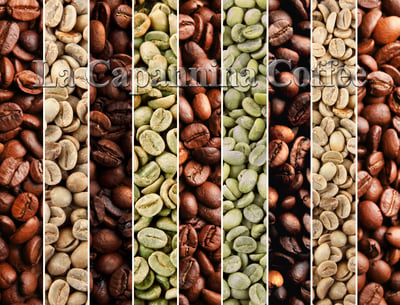 La Capannina Coffee gallery