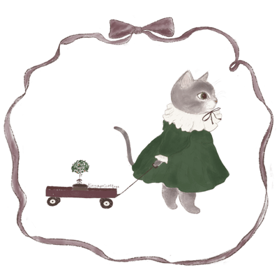 Tiny Apricot Tree Home