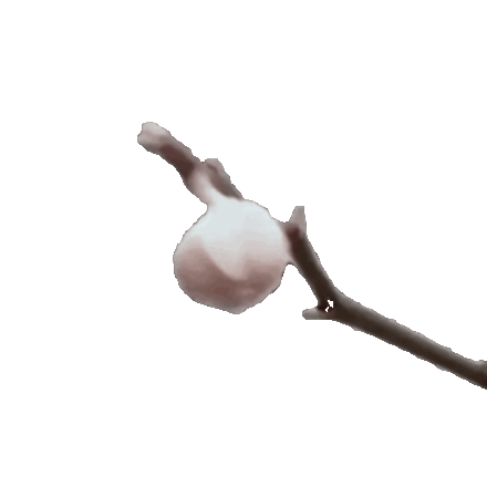 Image of 