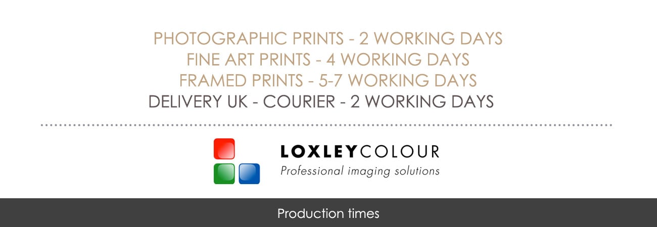 Slideshow image 15