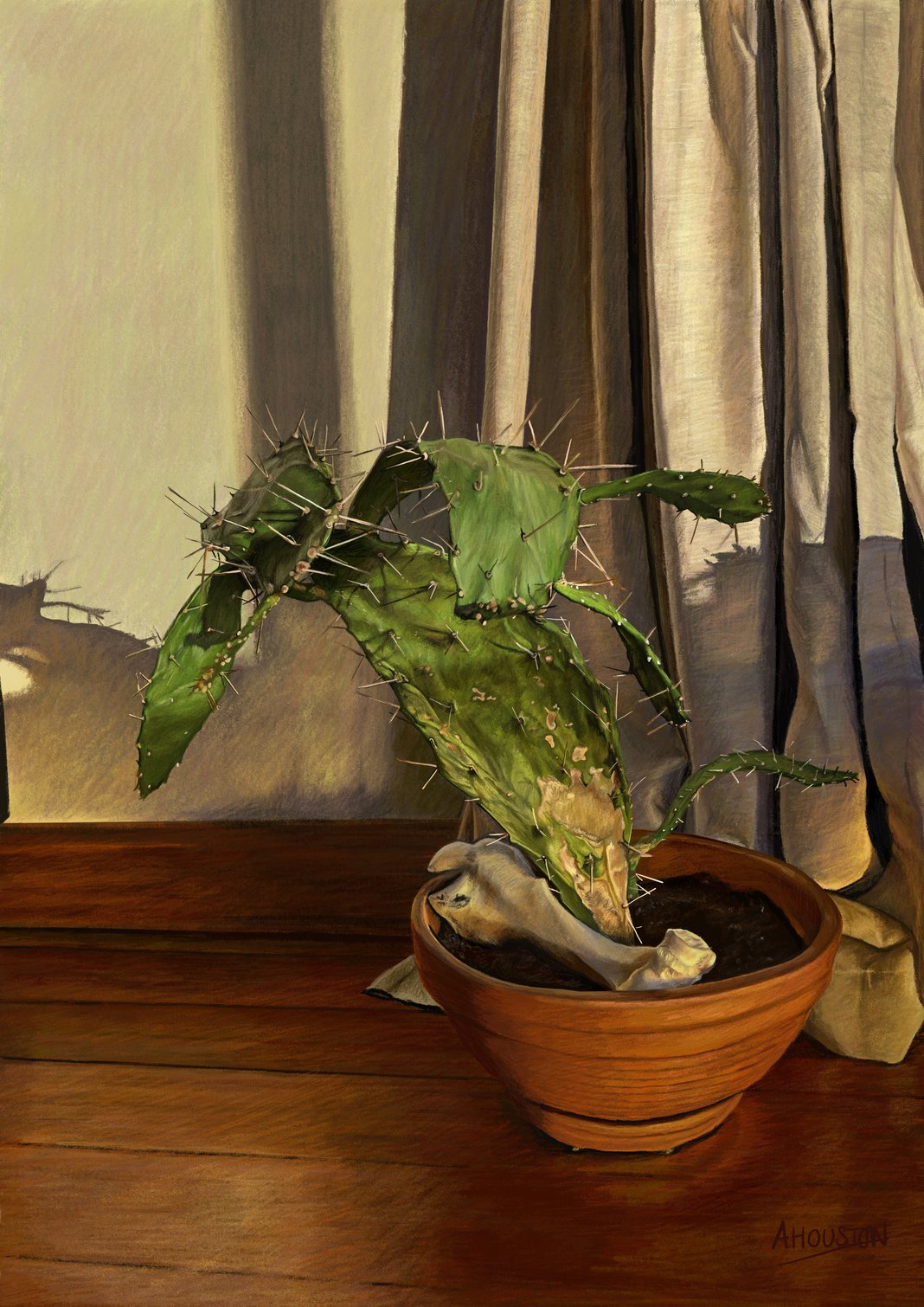 Slideshow image 1